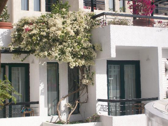 Kahramana Hotel Naama Bay Şarm El-Şeyh Dış mekan fotoğraf